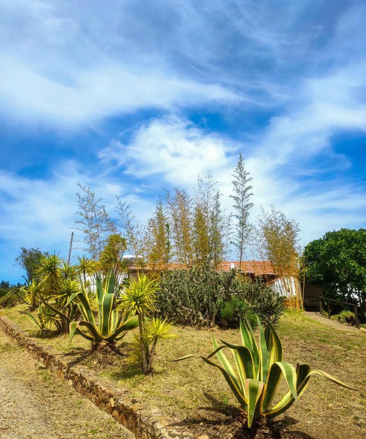 Monte Da Conqueira Odemira Exterior photo